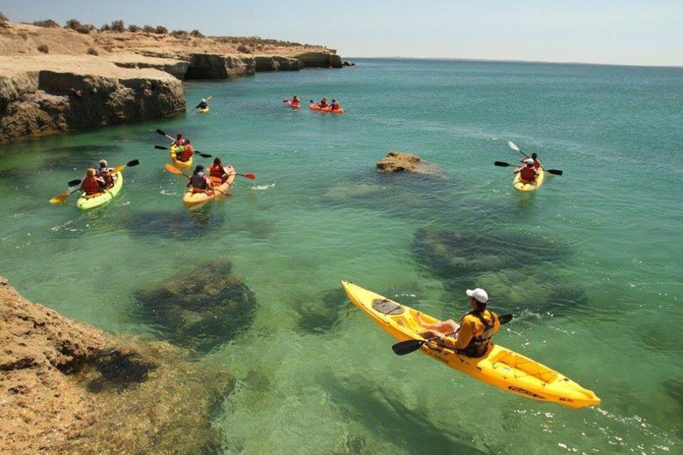 El Tamarisco Daire Puerto Pirámides Dış mekan fotoğraf